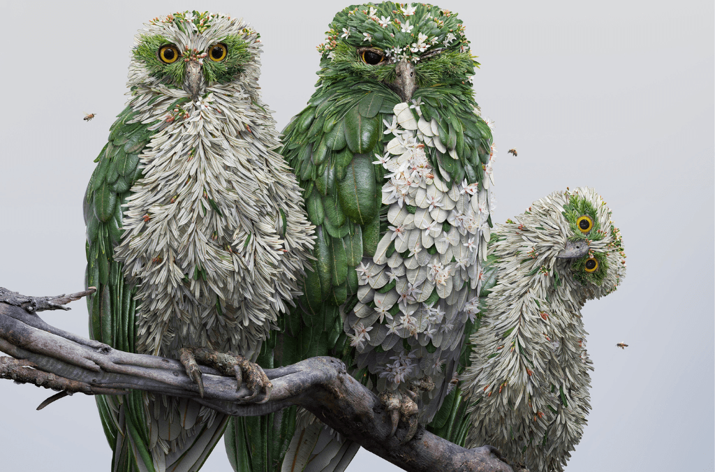 events-owls-artwork-1024x676.png