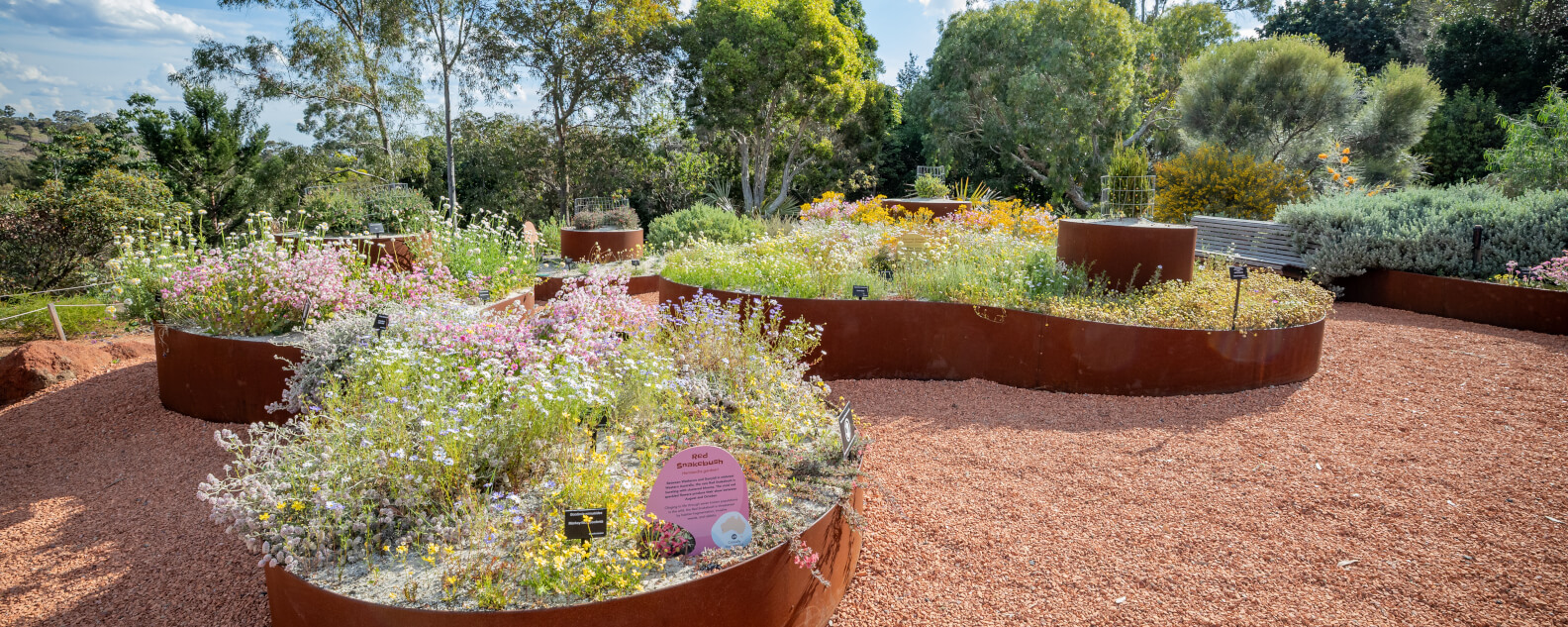 hort-Arid-garden-hero-banner-1584x633.jpg