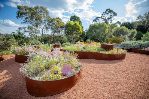 hort-Arid-garden-thumbnail-496x372.jpg