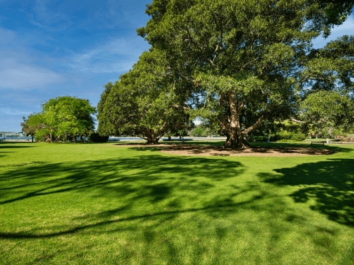 venues-fig-tree-thumbnail-496x372.png