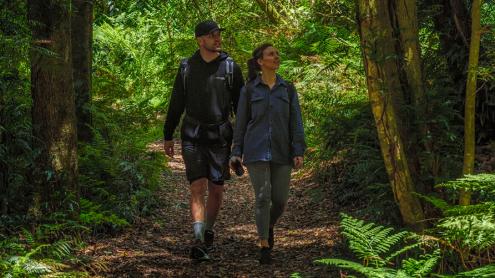 A couple walk through a lush rainforest wilderness area at Blue Mountains Botanic Garden