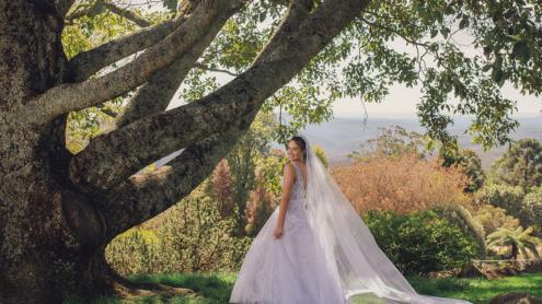 Bride on lush lawn next to magnificent Nepalese Alder tree, with stunning views of the Blue Mountains