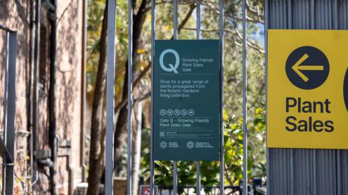 venues-gate-pin-Q-Growing-Friends-Plant-Sales-Gate-1024x676.jpg