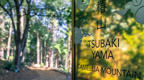 At Tsubaki Yama, step slowly. Breathe deeply. Wait. Now - open your senses to new wonders.