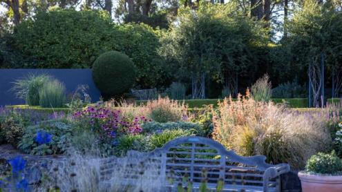 Garden bench among delicate grasses and flowering bushes