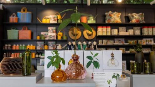 Shop shelves filled with homewares, vases, and plants