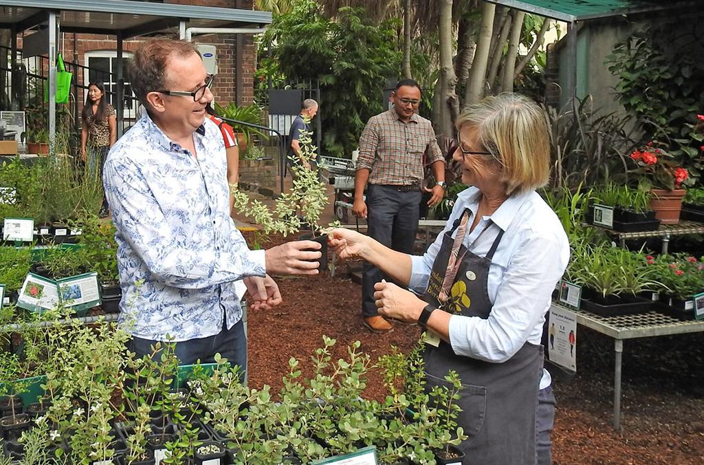 Person in apron handing a sapling to another person at a nursery