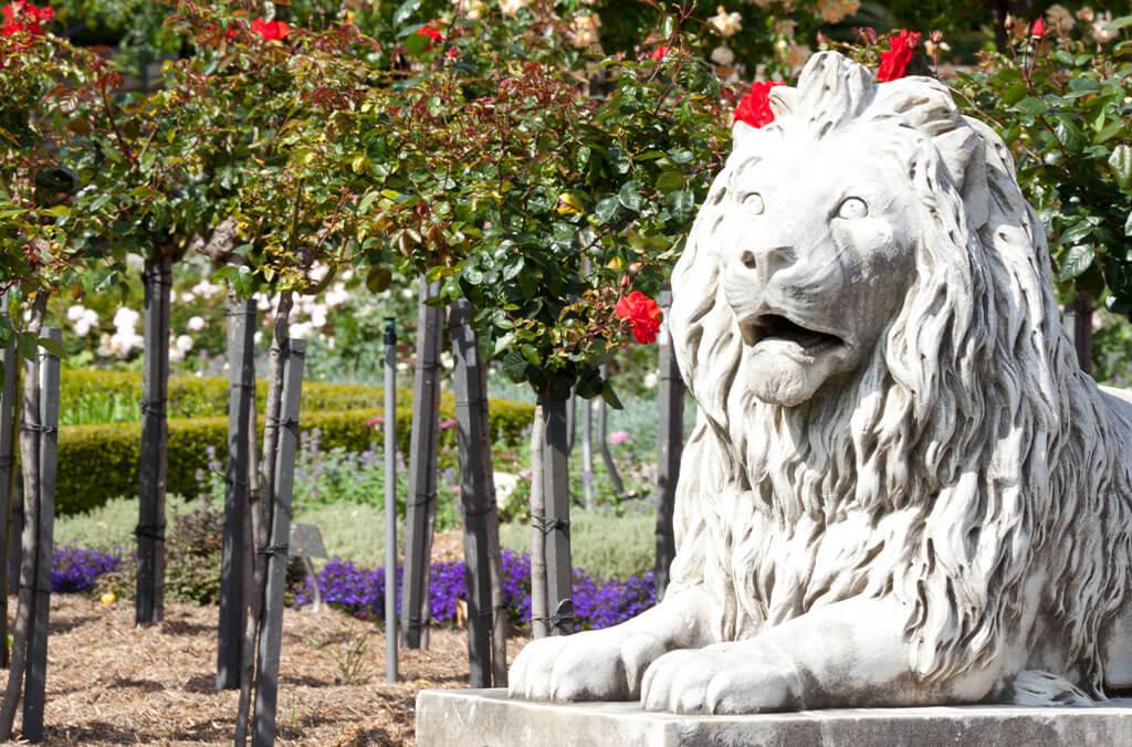 A lion statue guards the Shelter Pavilion in the Palace Rose Garden