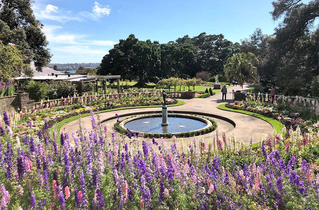 Pink and purple flowers in bloom in the Pioneer Memorial Garden