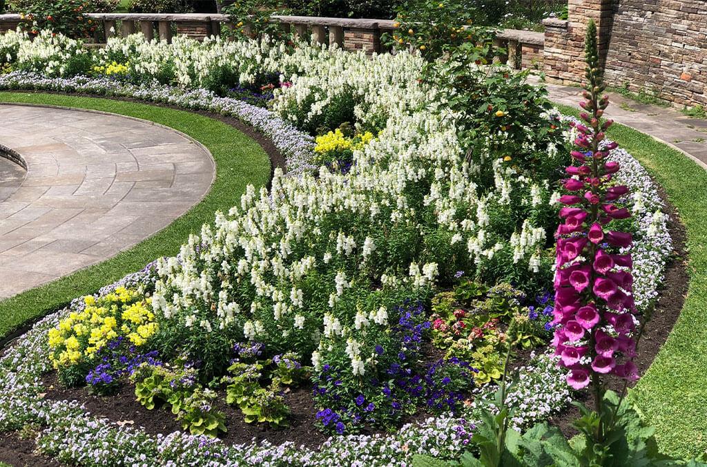 Close up of a flower bed in the Pioneer Memorial Garden