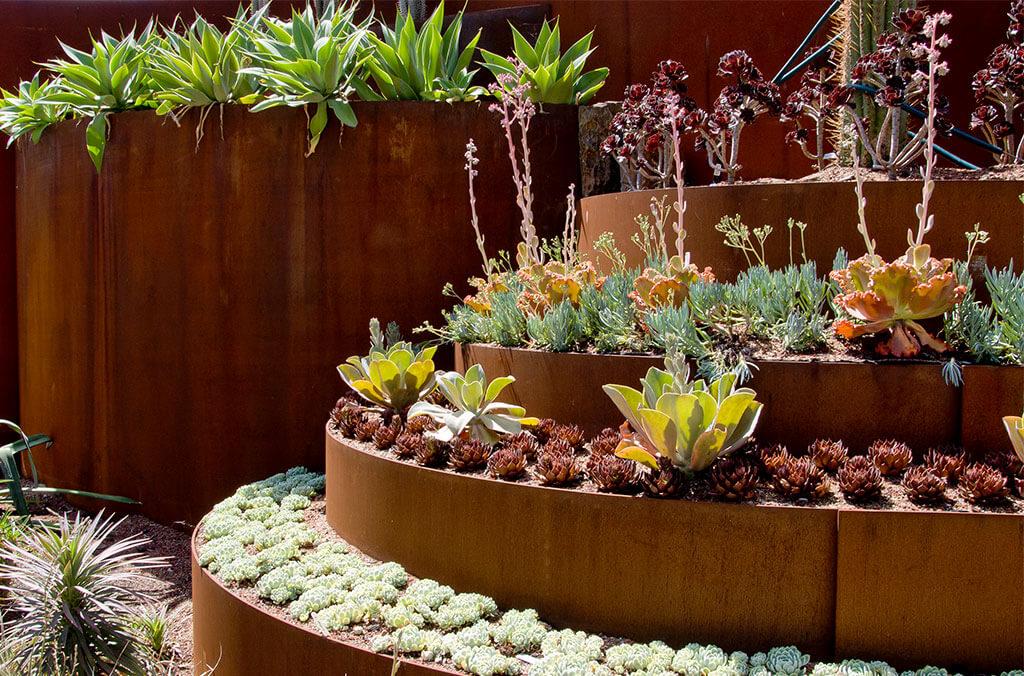 Close up of landscaping in the Succulent Garden