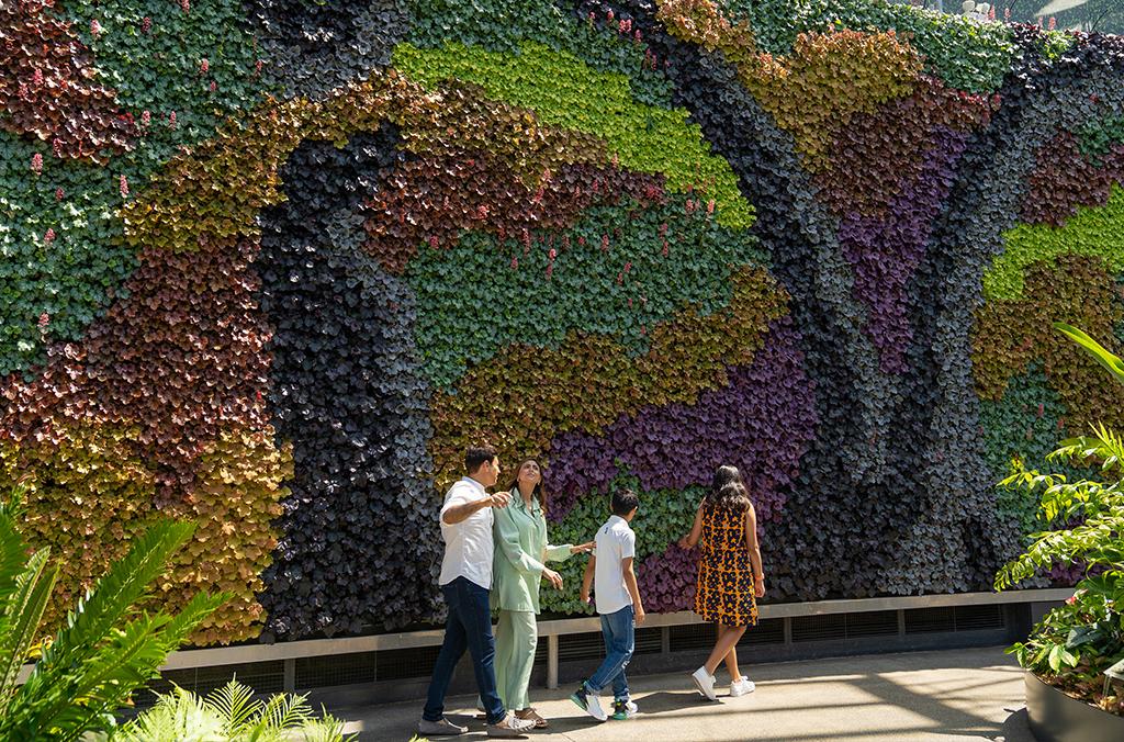 family walk by a rainbow coloured wall of plants