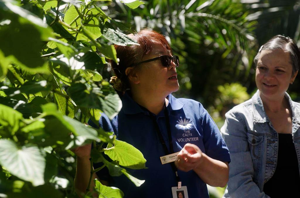 volunteer guide in garden, talking and pointing out a plant