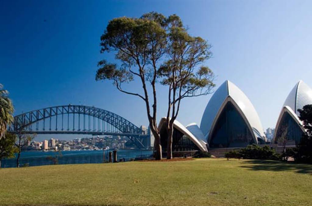 Trees on lawn with sydney opera house and sydney harbour bridge in background.