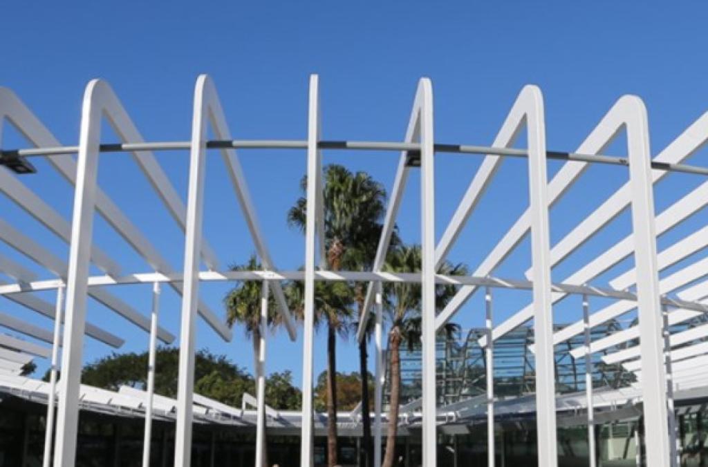 The Calyx