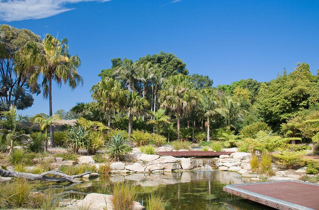 The pond in the Connections Garden on a clear day