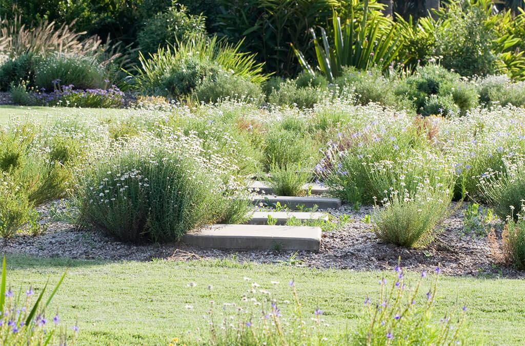 Steps leading through the garden bed in the Connections Garden