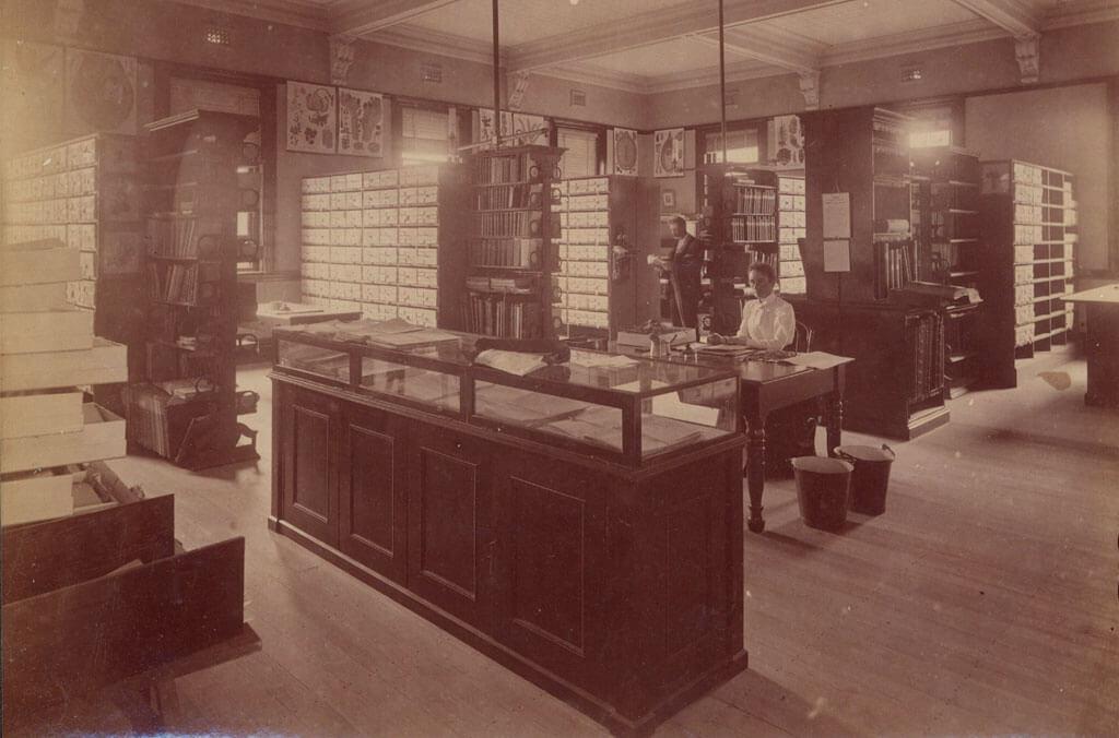 Photograph of the interior of the Herbarium of NSW circa 1820