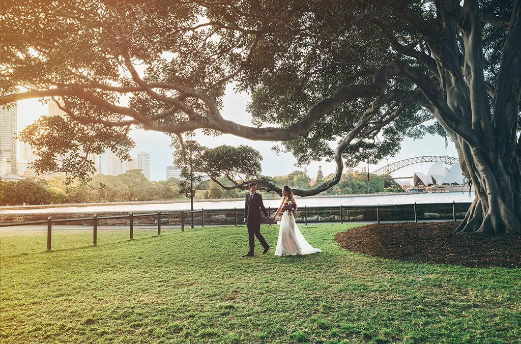 Wedding couple walk under fig tree with Sydney Harbour in background