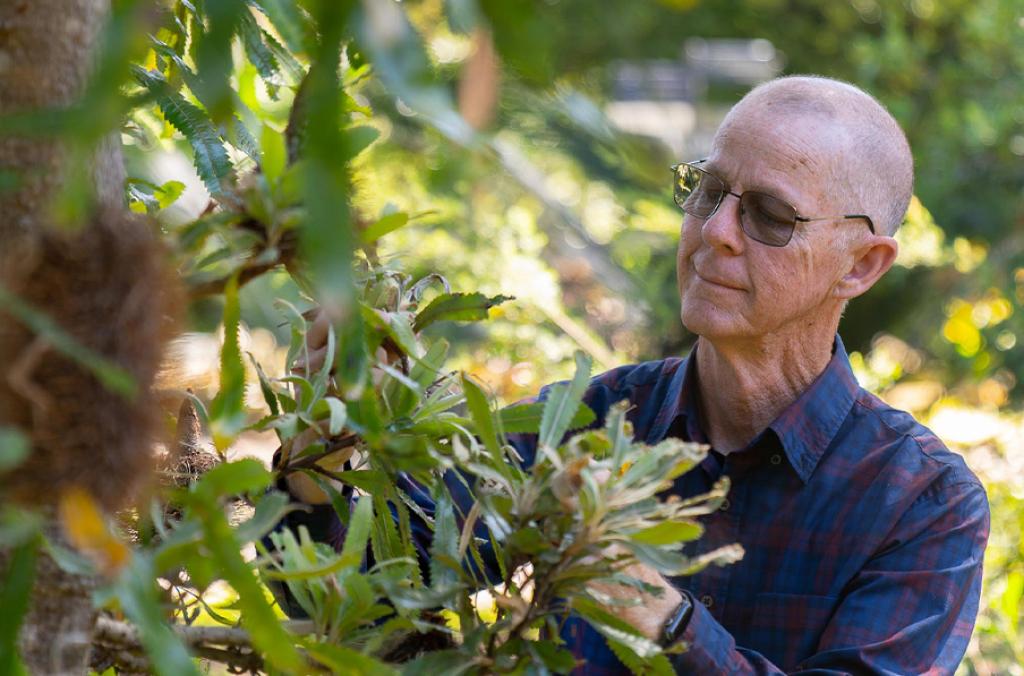 Dr Brett Summerell, Chief Botanist and Director Science, Education and Conservation, Botanic Gardens of Sydney 