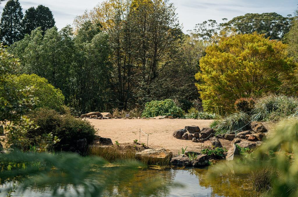 Sandy area and a pond