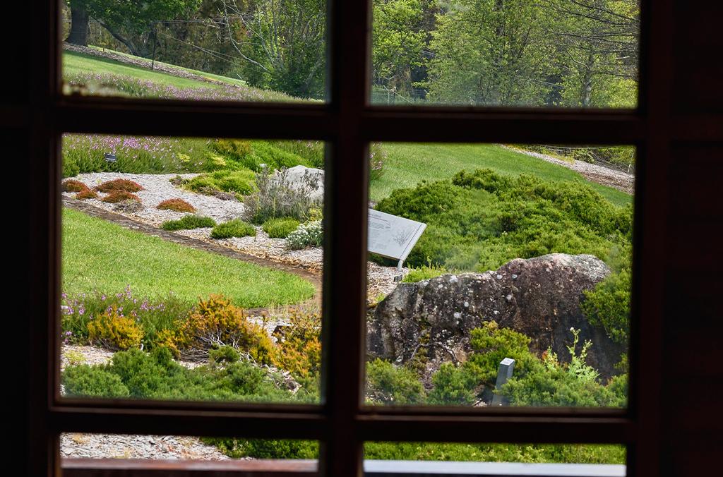 View of heath garden through glass french doors