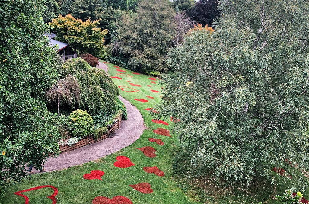 Lawn painted with red hearts, garden path and trees