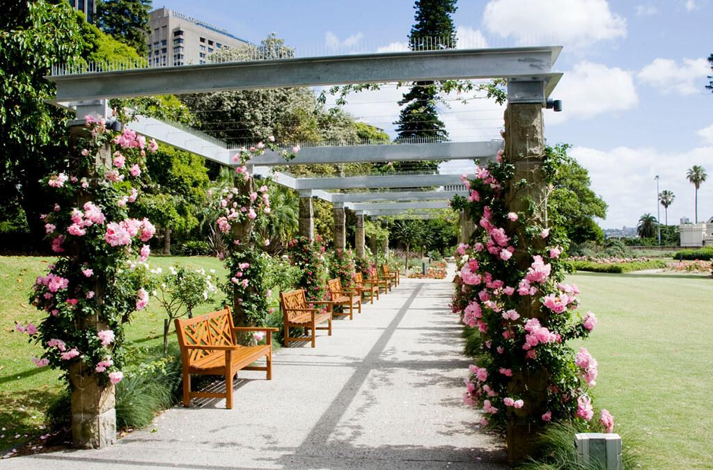 Romantic walkway arbor with climbing pink rose bushes