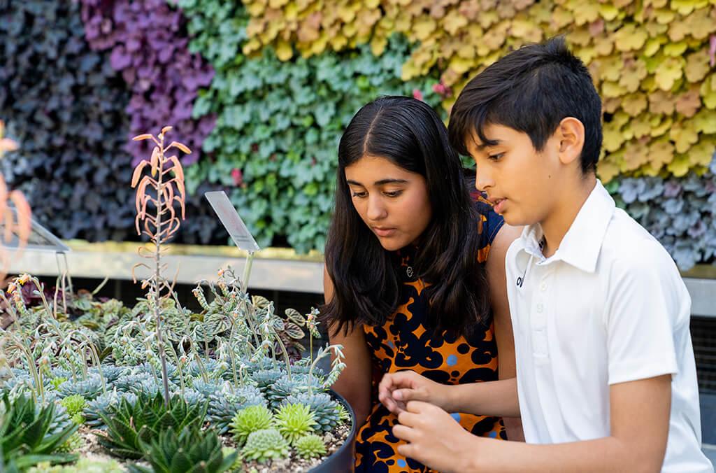 Two children check out the succulent displays at the Love Your Nature exhibit.