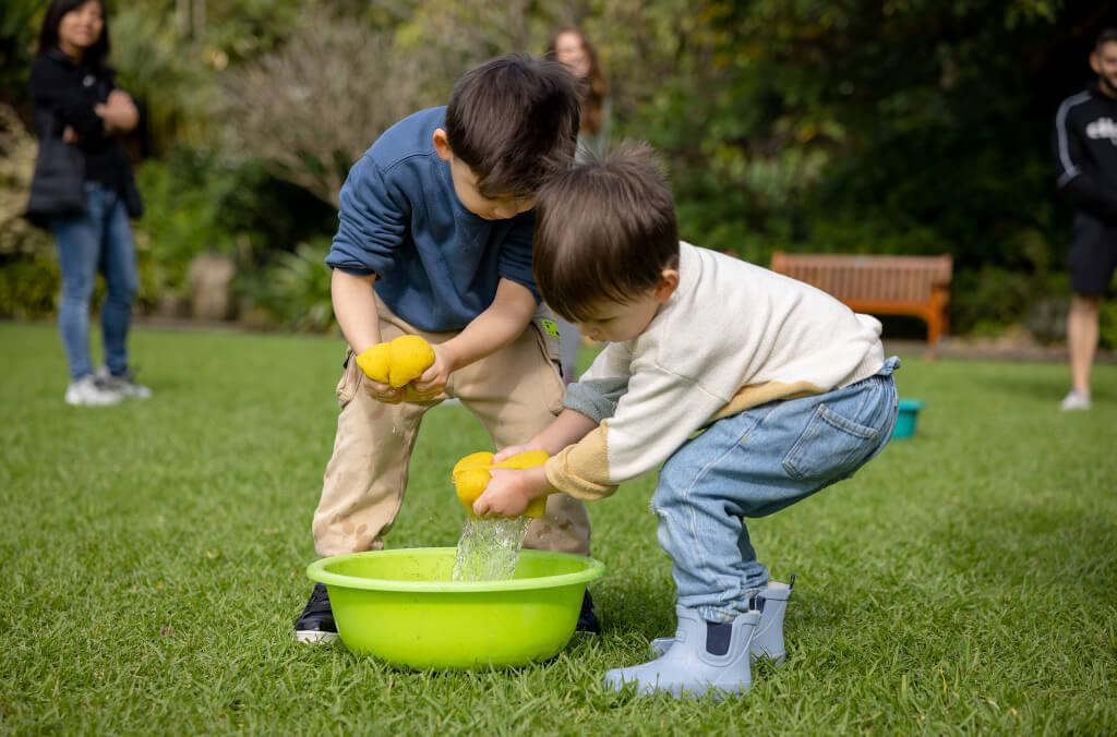 seedlings bmbg close up
