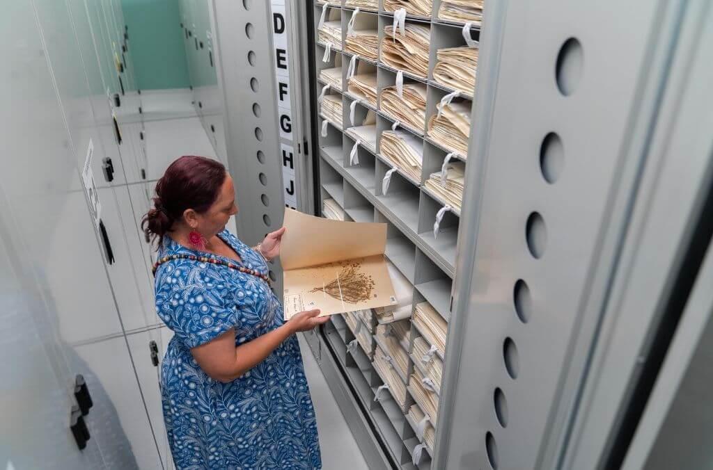Staff-Hannah-McPherson-herbarium-files-1024x676.jpg
