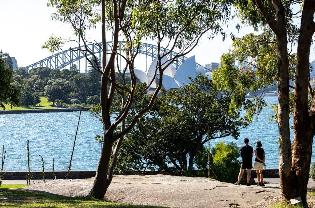 Royal Botanic Garden Sydney, harbour bridge