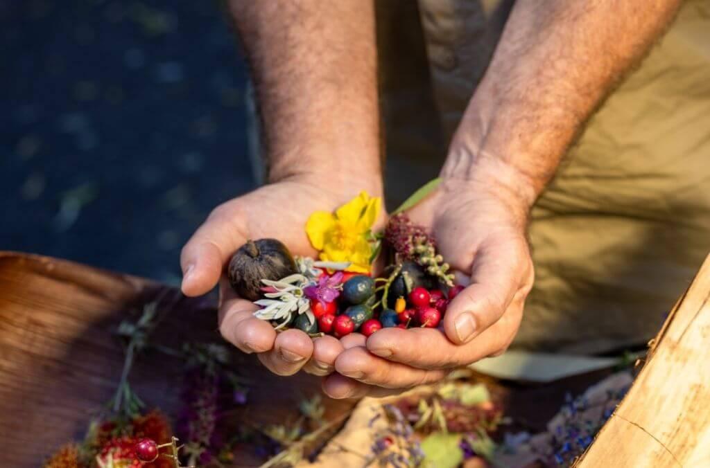 Hands cup a range of native berries, fruits and flowers