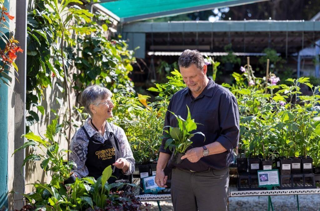 Two people in a garden nursery, looking at plants for sale