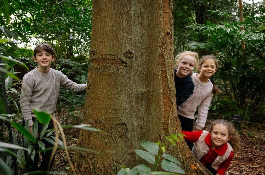 Kids in a tropical rainforest garden, peering out from behind a tree