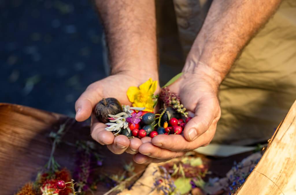 events-first-nations-foods-closeup-1024x676.jpg