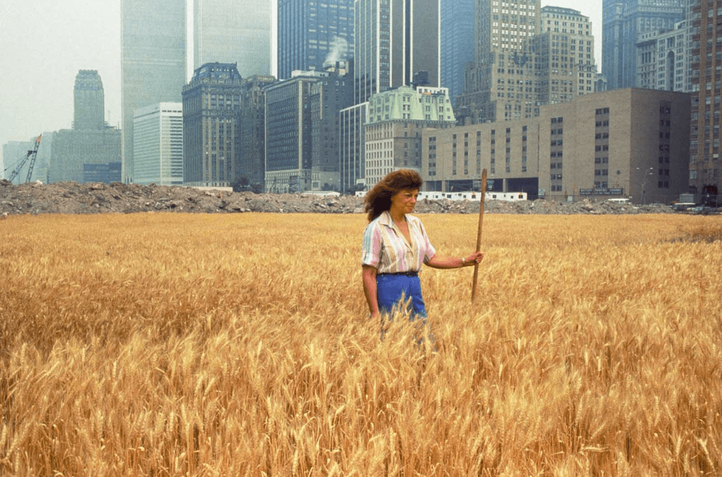 A woman standing in the centre of a cornfield with buildings in the background 