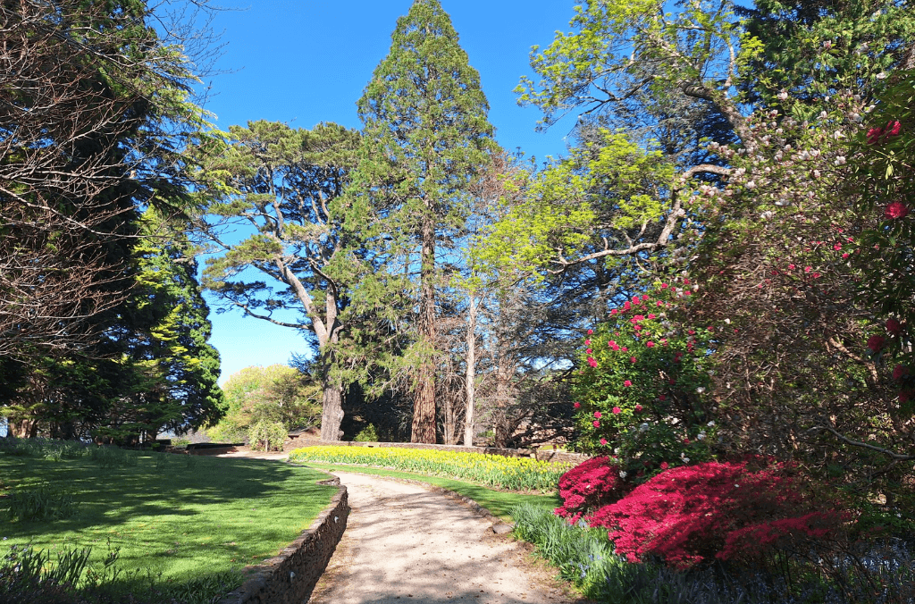 A path surrounded by plants at Everglades House & Garden