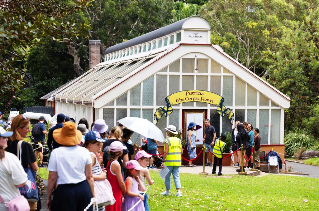 Queues outside the Palm House