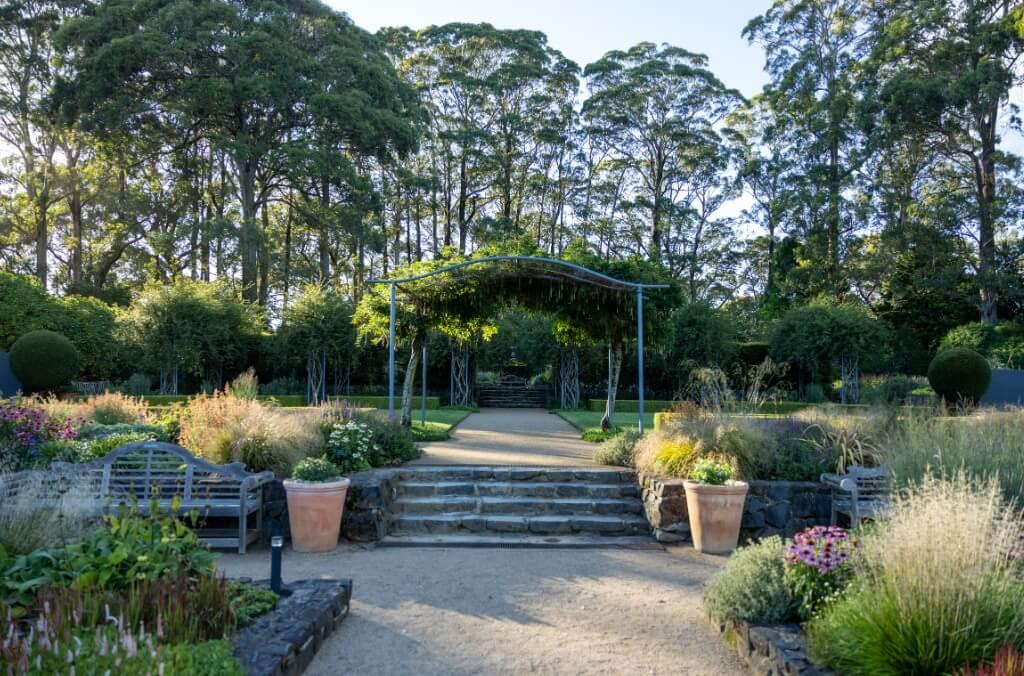 Terraced garden with leafy arbour, manicured flowerbeds and towering eucalypts