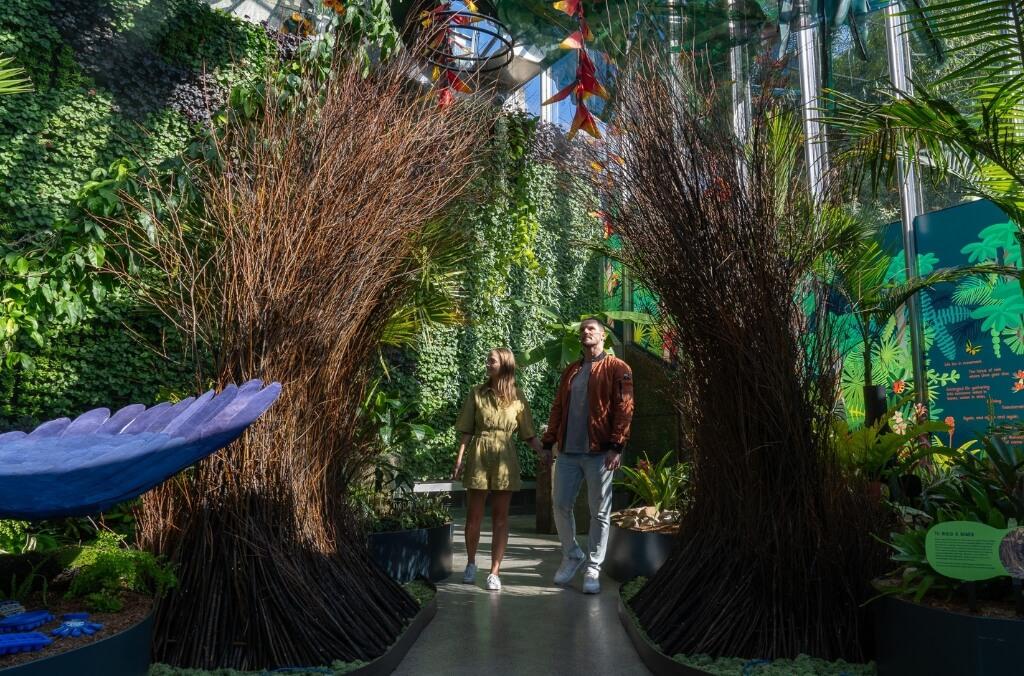 Two people walk through an immersive exhibit with giant prop bowerbird nest and tropical plants