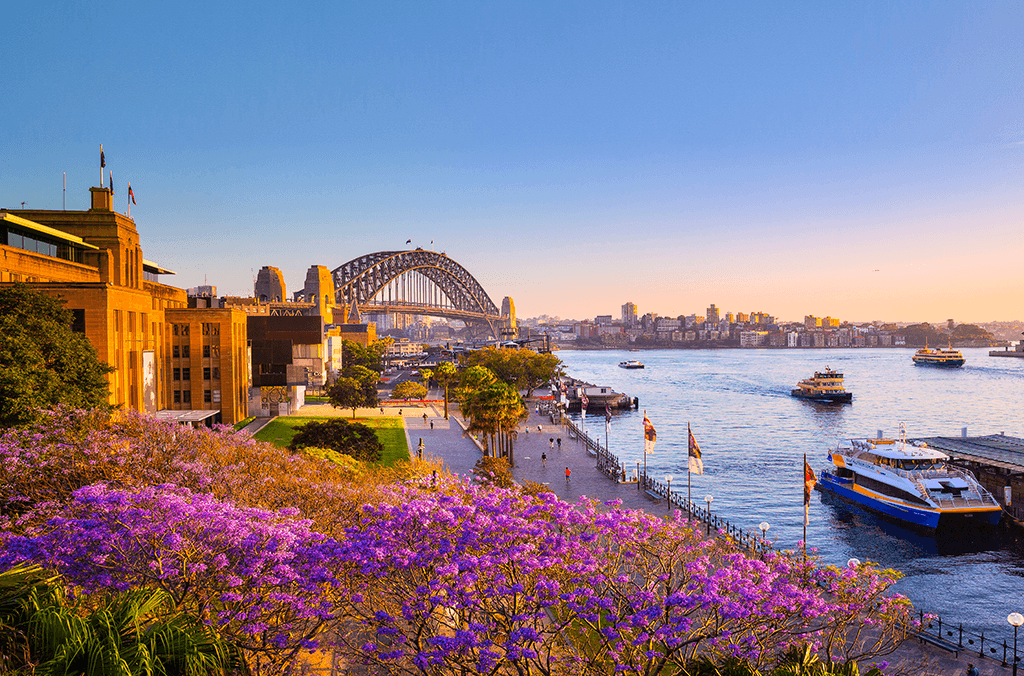 events-HOKA-sydney-harbour-1024x676-4.png