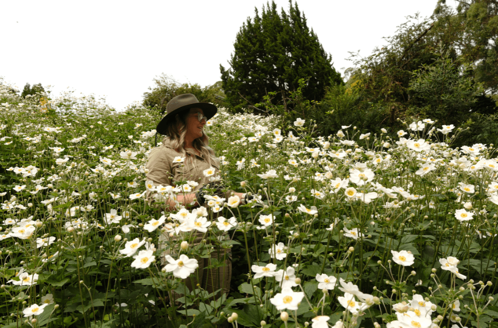 A woman in a field of white flowers
