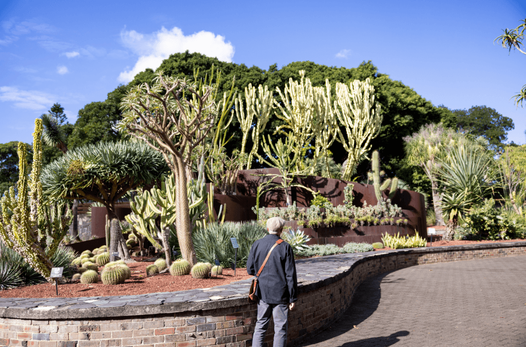 The Succulent Garden in Royal Botanic Garden will transport you half a world away.