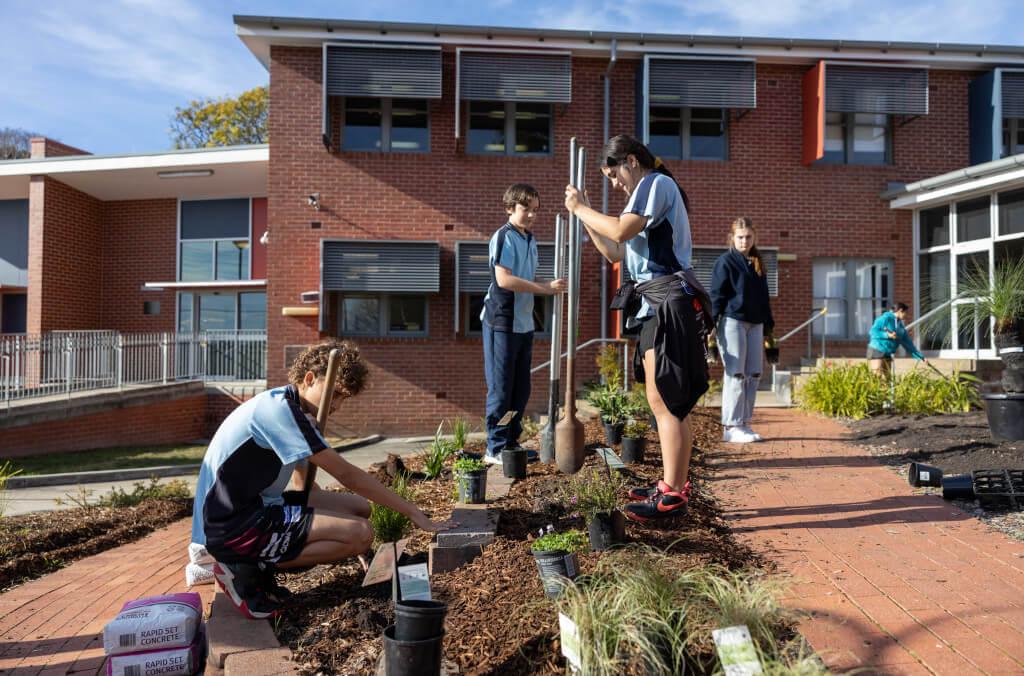 stories-community-greening-planting-1024x676.jpg
