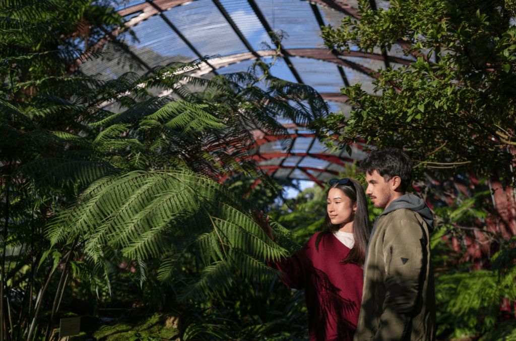 web-couple-looking-at-plant-in-fernery-1024x676.png