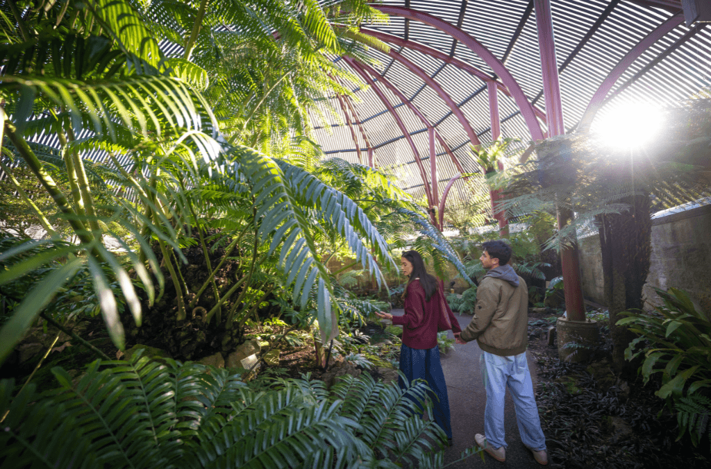 web-fernery-couple-exploring-the-fernery-1024x676.png