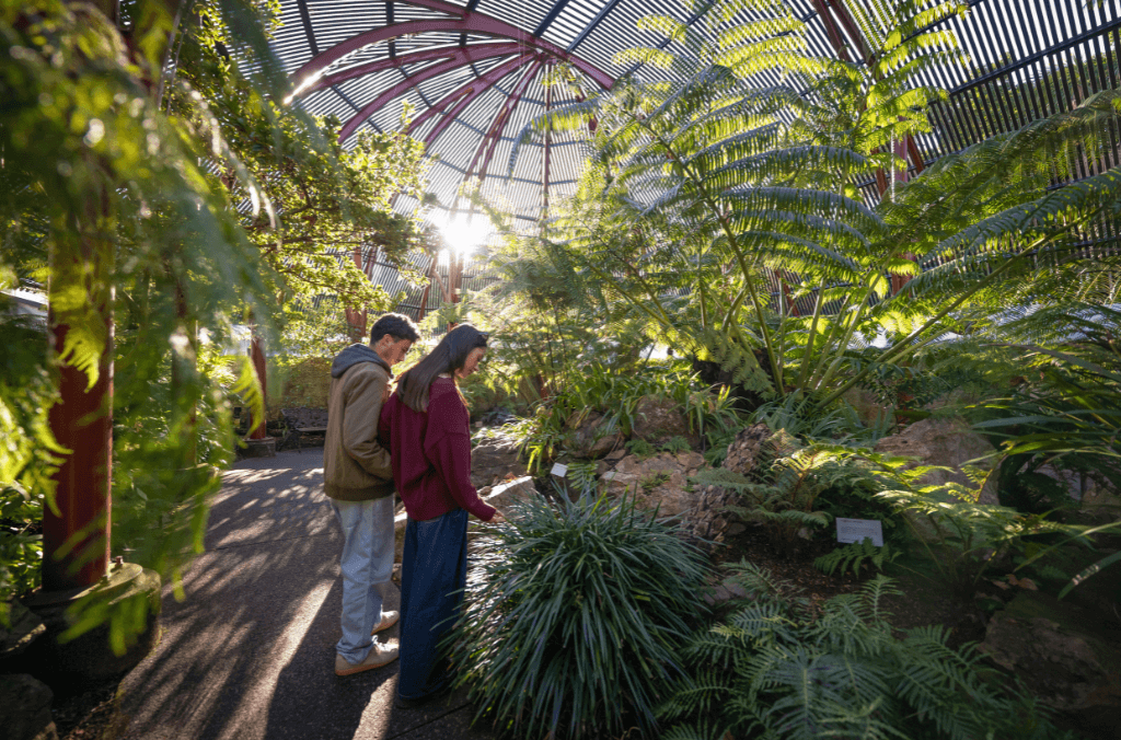 web-fernery-couple-looking-at-plants-1024x676.png