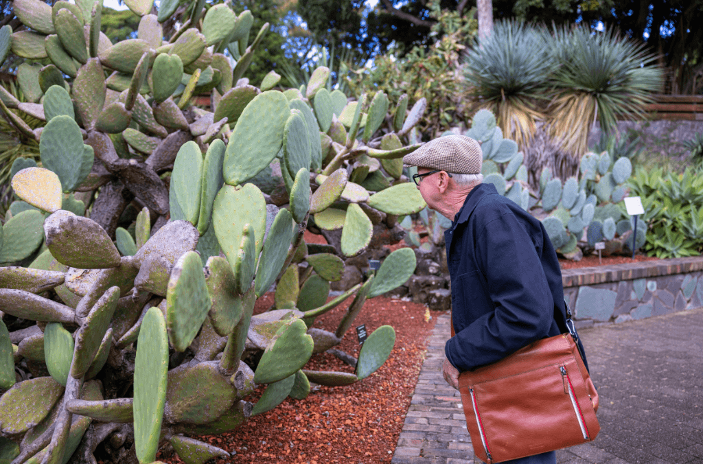 web-succulent-garden-1024x676.png
