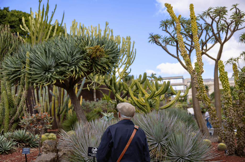 web-visitorexploring-the-succulent-garden-1024x676-.png